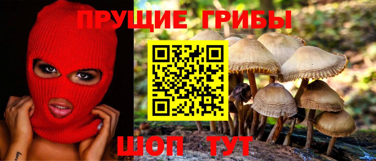 Галлюциногенные грибы мицелий Прохладный